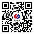 作为公司人力资源发展战略