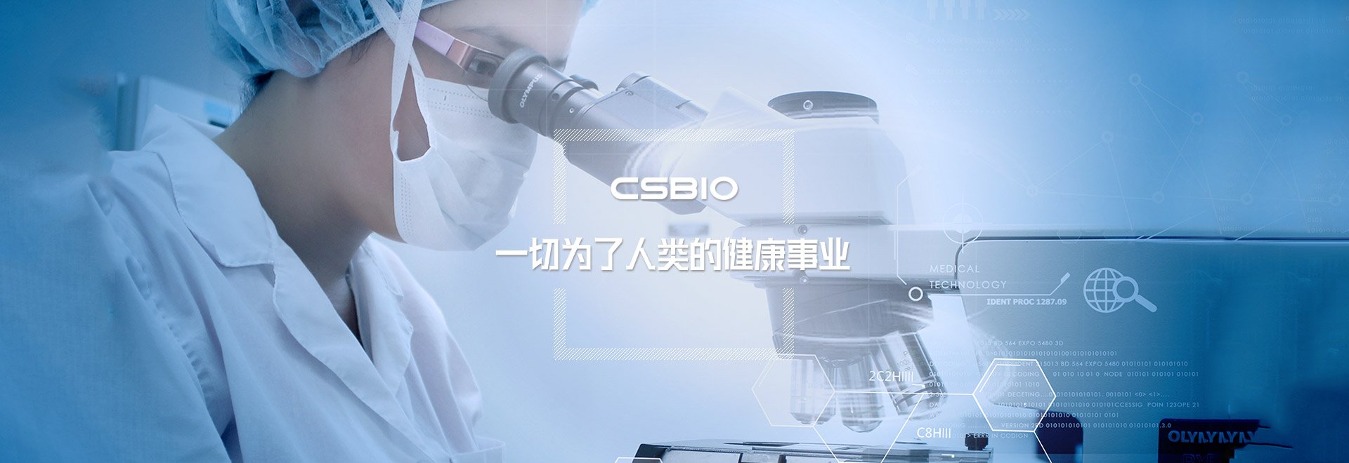 公司是集研发